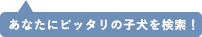 あなたにぴったりの子犬を検索