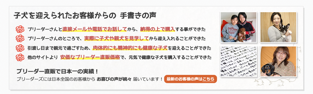 ペキニーズ お客さまの声