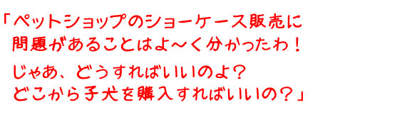 ペットショップのショーケース販売は問題がいっぱい